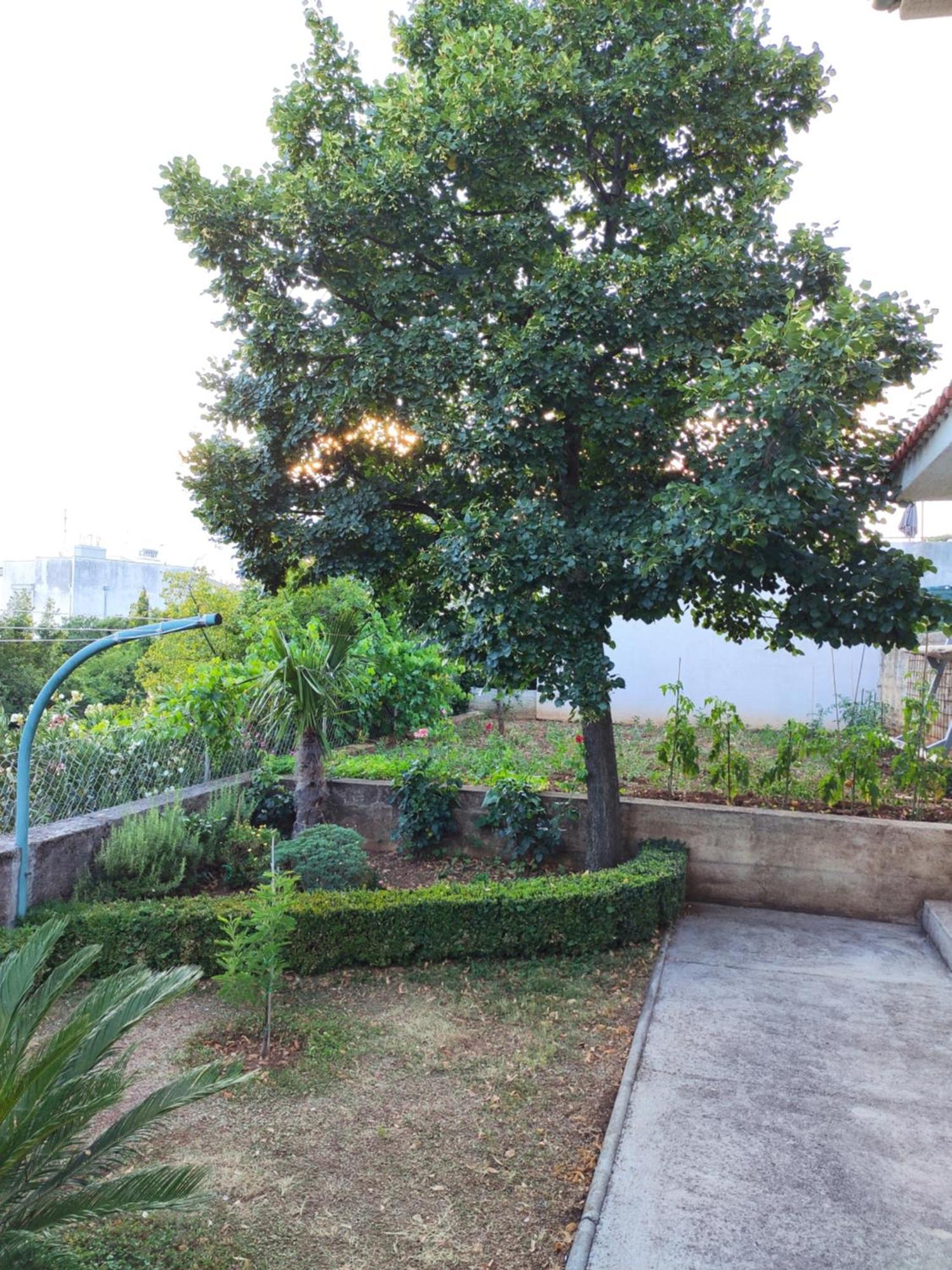 Apartment with private garden&terrace Crikvenica Buitenkant foto