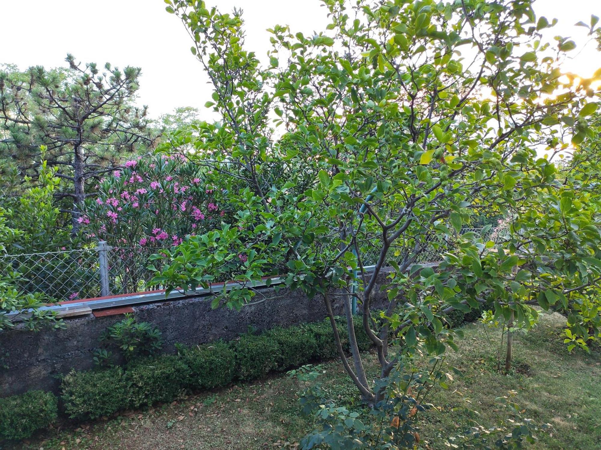 Apartment with private garden&terrace Crikvenica Buitenkant foto